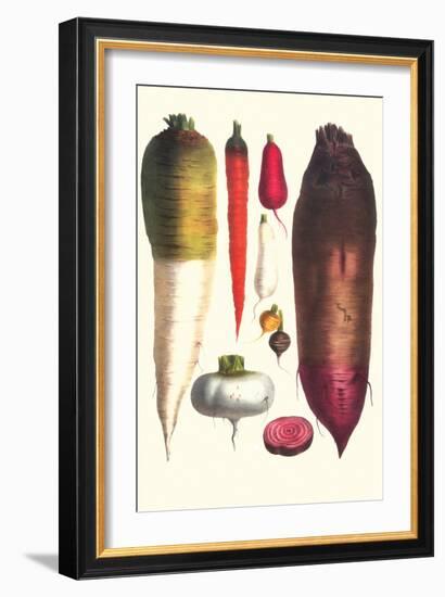 Tubers-Philippe-Victoire Leveque de Vilmorin-Framed Art Print