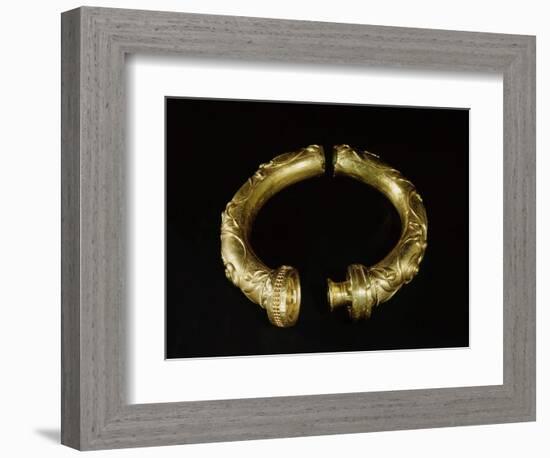 Tubular gold torque, from Broighter, County Derry, Northern Ireland, 1st century BC-Werner Forman-Framed Giclee Print