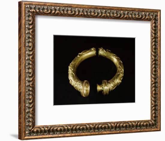 Tubular gold torque, from Broighter, County Derry, Northern Ireland, 1st century BC-Werner Forman-Framed Giclee Print