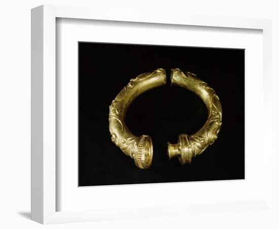 Tubular gold torque, from Broighter, County Derry, Northern Ireland, 1st century BC-Werner Forman-Framed Giclee Print