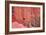 Tucan and a Red Wall-Howard Ruby-Framed Photographic Print