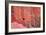 Tucan and a Red Wall-Howard Ruby-Framed Photographic Print