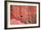 Tucan and a Red Wall-Howard Ruby-Framed Photographic Print