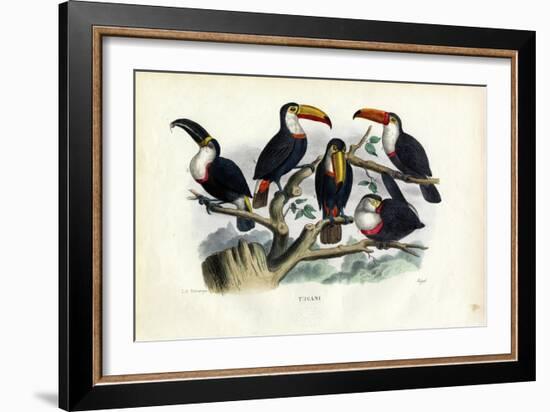 Tucans, 1863-79-Raimundo Petraroja-Framed Giclee Print