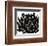 Tucson Aloe-Max Carter-Framed Giclee Print