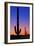 Tucson, Arizona - Cactus and Moon-Lantern Press-Framed Art Print