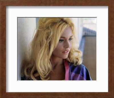 587 Tuesday Weld Photos Stock Photos, High-Res Pictures, and