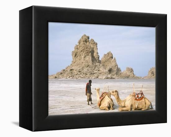 Tufa Towers at Lac Abhe, Afar Triangle, Djibouti-Tony Waltham-Framed Premier Image Canvas