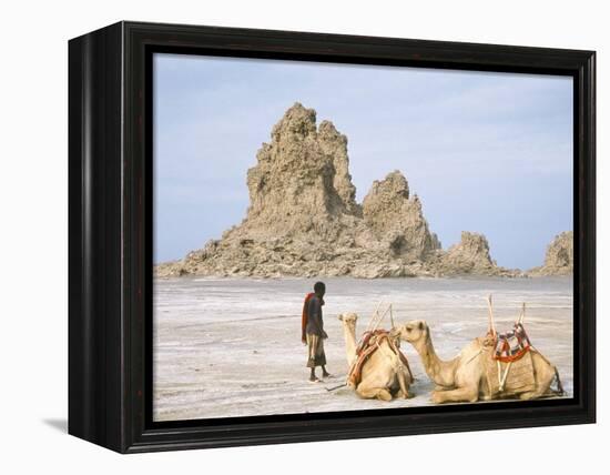 Tufa Towers at Lac Abhe, Afar Triangle, Djibouti-Tony Waltham-Framed Premier Image Canvas