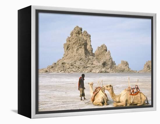 Tufa Towers at Lac Abhe, Afar Triangle, Djibouti-Tony Waltham-Framed Premier Image Canvas