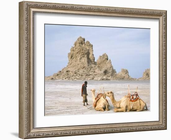 Tufa Towers at Lac Abhe, Afar Triangle, Djibouti-Tony Waltham-Framed Photographic Print