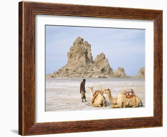 Tufa Towers at Lac Abhe, Afar Triangle, Djibouti-Tony Waltham-Framed Photographic Print