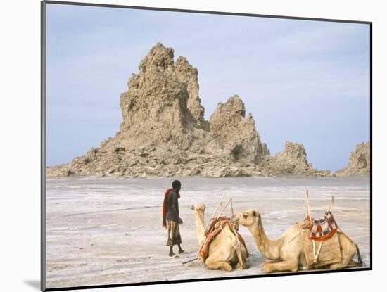 Tufa Towers at Lac Abhe, Afar Triangle, Djibouti-Tony Waltham-Mounted Photographic Print