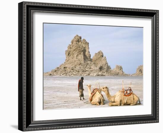 Tufa Towers at Lac Abhe, Afar Triangle, Djibouti-Tony Waltham-Framed Photographic Print