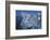 Tuff, Moon, Mono Lake, California, Usa-Rainer Mirau-Framed Photographic Print