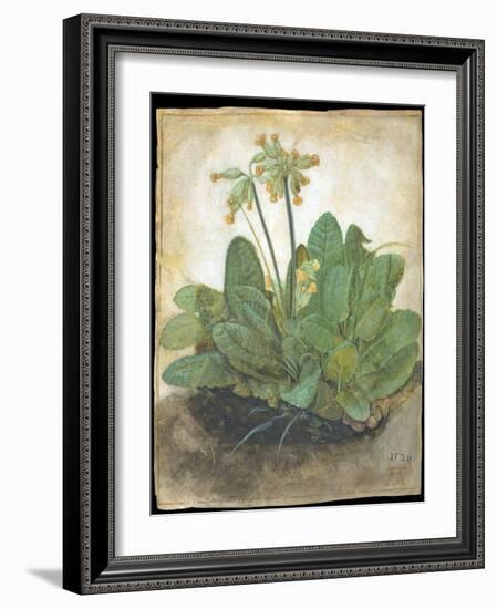 Tuft of Cowslips by Albrecht D¼rer-Albrecht Dürer-Framed Giclee Print