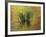 Tuft of Grass in Deerfield River, Green Mountain National Forest, Vermont, USA-Adam Jones-Framed Photographic Print