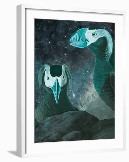 Tufted Auk - Space-Eccentric Accents-Framed Giclee Print