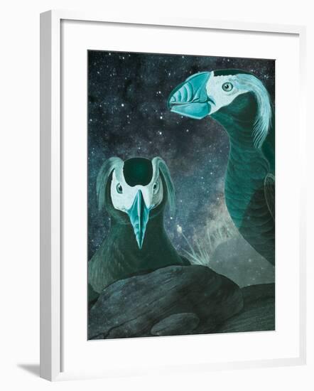 Tufted Auk - Space-Eccentric Accents-Framed Giclee Print