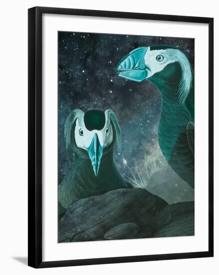 Tufted Auk - Space-Eccentric Accents-Framed Giclee Print