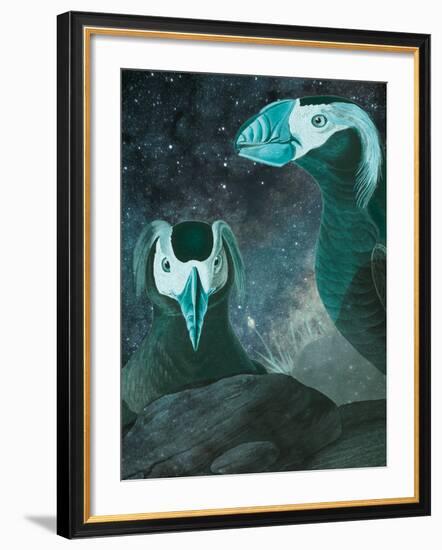 Tufted Auk - Space-Eccentric Accents-Framed Giclee Print