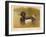 Tufted Duck (Fuligata cristata), Red-Crested Pochard (Netta rufina), 1900, (1900)-Charles Whymper-Framed Giclee Print