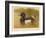 Tufted Duck (Fuligata cristata), Red-Crested Pochard (Netta rufina), 1900, (1900)-Charles Whymper-Framed Giclee Print