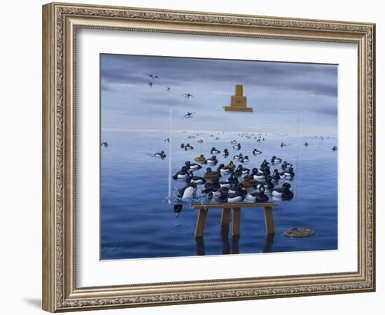 Tufted Ducks-Harro Maass-Framed Giclee Print