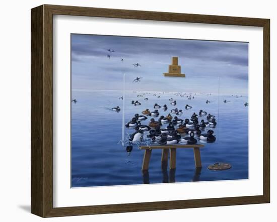 Tufted Ducks-Harro Maass-Framed Giclee Print