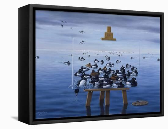 Tufted Ducks-Harro Maass-Framed Premier Image Canvas