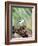 Tufted-Titmouse-Gary Carter-Framed Photographic Print