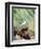 Tufted-Titmouse-Gary Carter-Framed Photographic Print