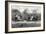 Tug of War, 1879-Science Source-Framed Giclee Print