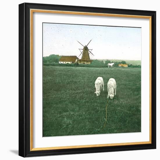 Tuglevad (Denmark), the Mill-Leon, Levy et Fils-Framed Photographic Print