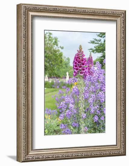 Tuileries Garden, Paris, France-Lisa S. Engelbrecht-Framed Photographic Print