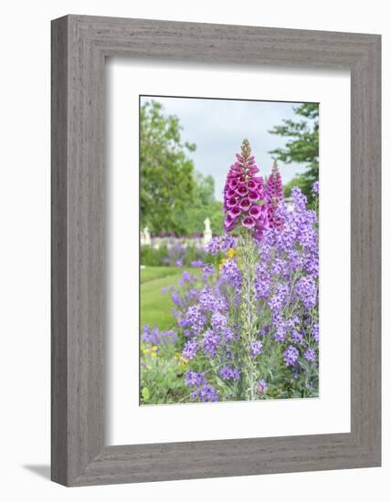 Tuileries Garden, Paris, France-Lisa S. Engelbrecht-Framed Photographic Print