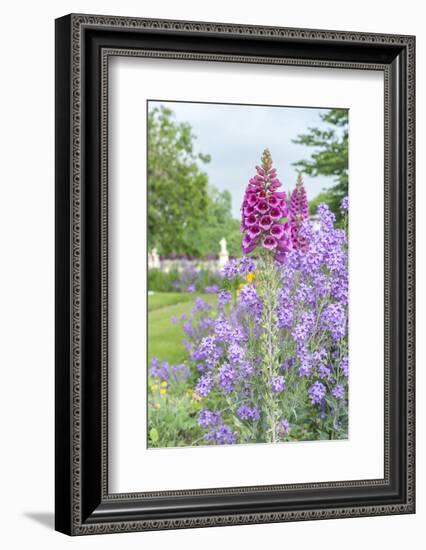 Tuileries Garden, Paris, France-Lisa S. Engelbrecht-Framed Photographic Print