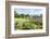 Tuileries Garden, Paris, France-Lisa Engelbrecht-Framed Photographic Print