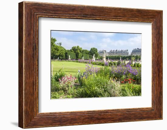 Tuileries Garden, Paris, France-Lisa Engelbrecht-Framed Photographic Print