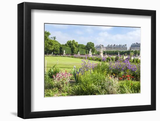 Tuileries Garden, Paris, France-Lisa Engelbrecht-Framed Photographic Print