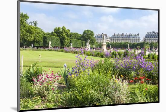 Tuileries Garden, Paris, France-Lisa Engelbrecht-Mounted Photographic Print