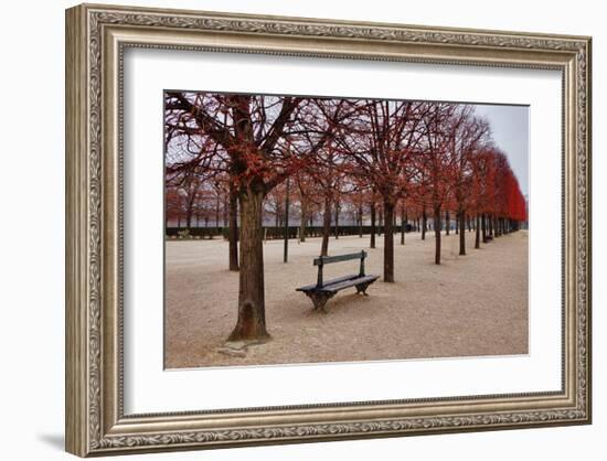 Tuileries Gardens in Winter, Paris, Ile de France, France-null-Framed Art Print