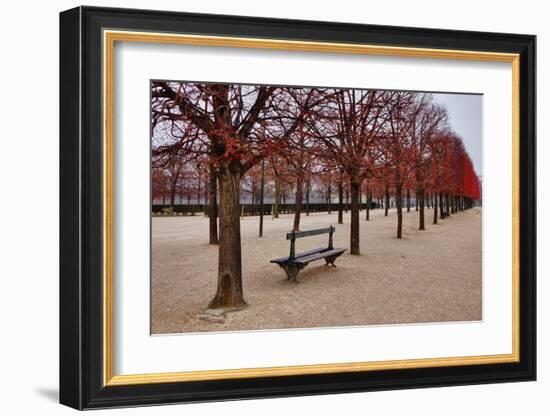 Tuileries Gardens in Winter, Paris, Ile de France, France-null-Framed Art Print