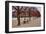 Tuileries Gardens in Winter, Paris, Ile de France, France-null-Framed Art Print