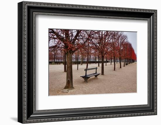 Tuileries Gardens in Winter, Paris, Ile de France, France-null-Framed Art Print