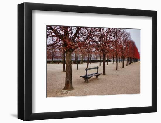 Tuileries Gardens in Winter, Paris, Ile de France, France-null-Framed Art Print