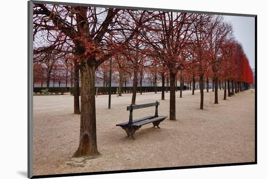 Tuileries Gardens in Winter, Paris, Ile de France, France-null-Mounted Art Print