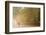 Tuileries Gardens, Paris, France-Peter Adams-Framed Photographic Print