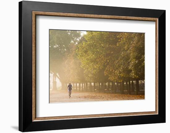 Tuileries Gardens, Paris, France-Peter Adams-Framed Photographic Print