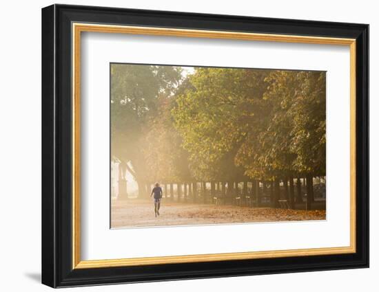 Tuileries Gardens, Paris, France-Peter Adams-Framed Photographic Print